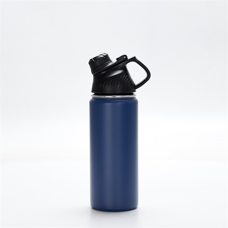 Stainless Steel Water Bottle with Straw Lid & Spout Lid Insulated Sports Bottle
